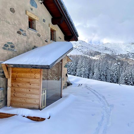 Alpine Dream House - Chalet Gressan Exteriör bild